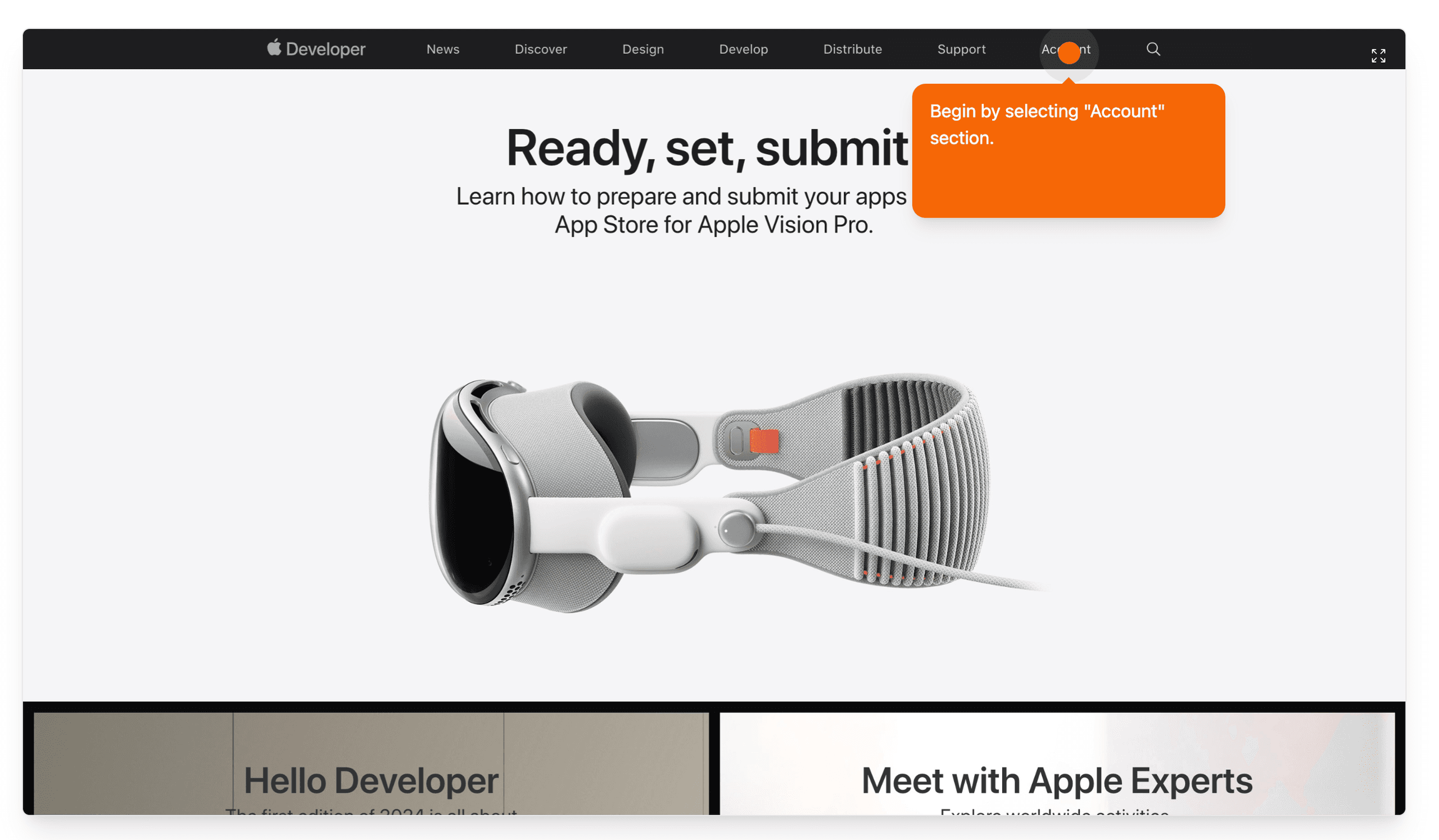 Apple Developer website