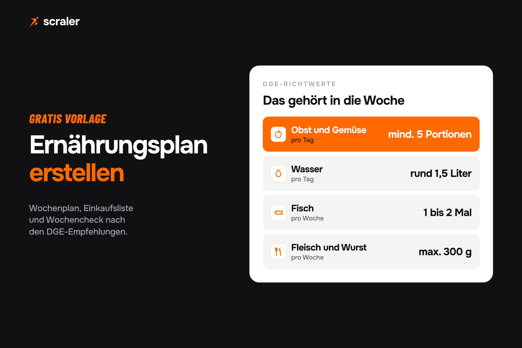 Ernährungsplan erstellen: DGE-Richtwerte mit mindestens 5 Portionen Obst und Gemüse pro Tag, rund 1,5 Liter Wasser, Fisch 1 bis 2 Mal pro Woche und höchstens 300 g Fleisch und Wurst
