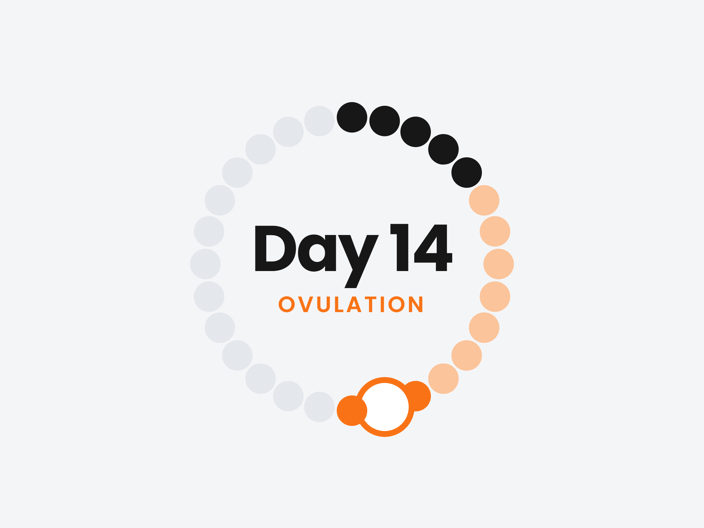 A cycle ring marking day 14 as ovulation