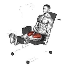 Leg extension